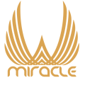 logo-big-w-miracle-scaled-1